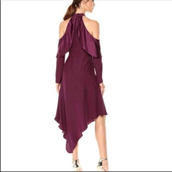 Parker Womens Size 2 Tanya Asymmetric Silk Dress - Picture 2 of 8